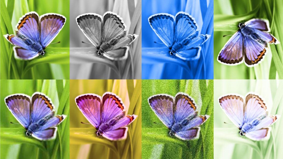 Google launches online portal to detect watermarked AI