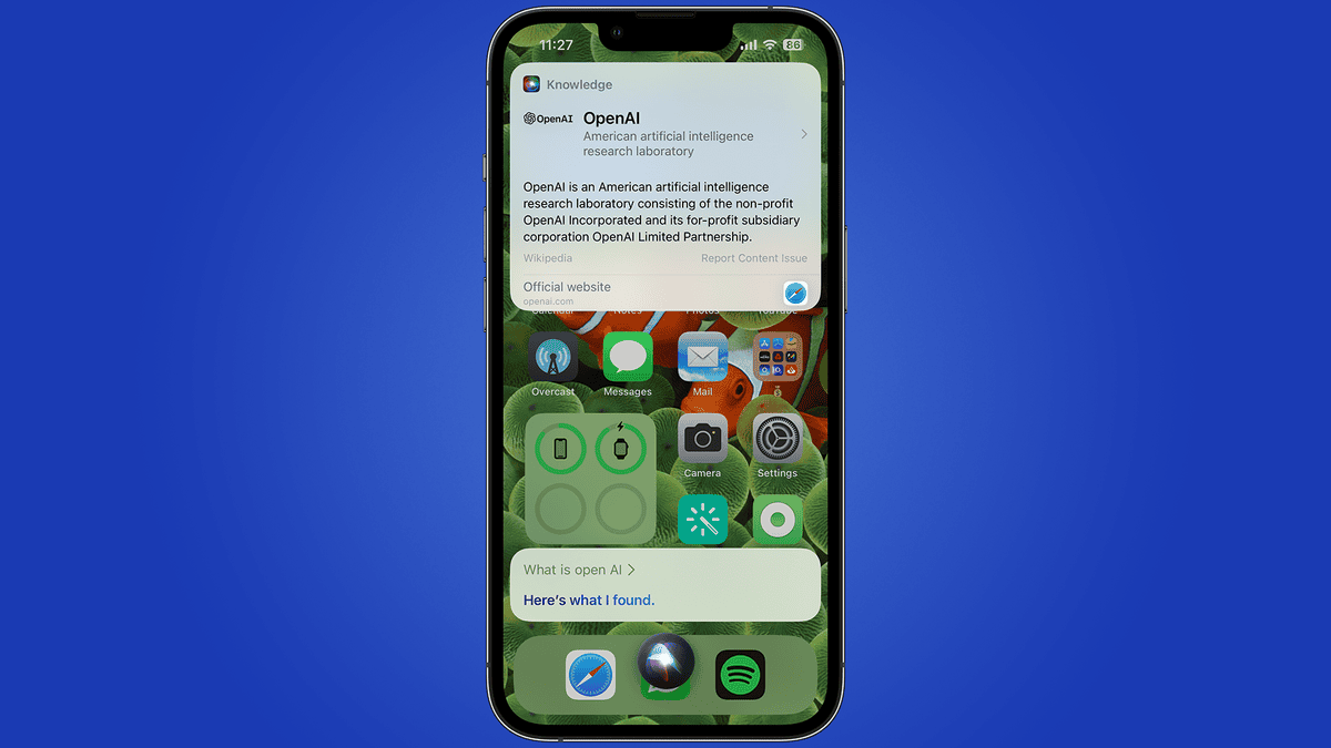Apple's AI Advancements: Leveraging Google's Custom Chips