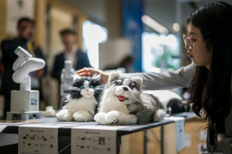 Concerns Grow Over AI Models' Potential Limitations and
