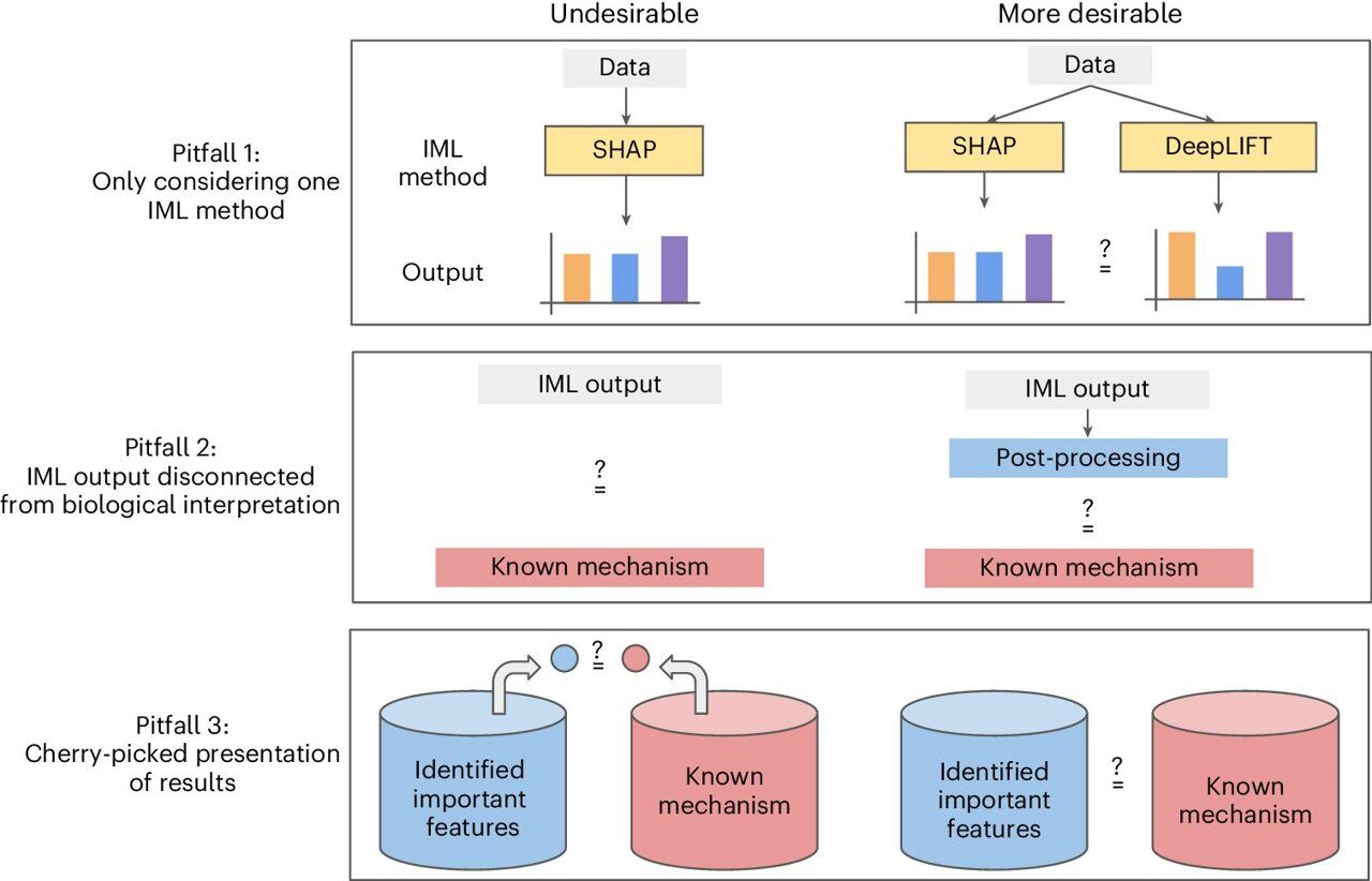 AI-Driven Biological Discovery: A New Framework for