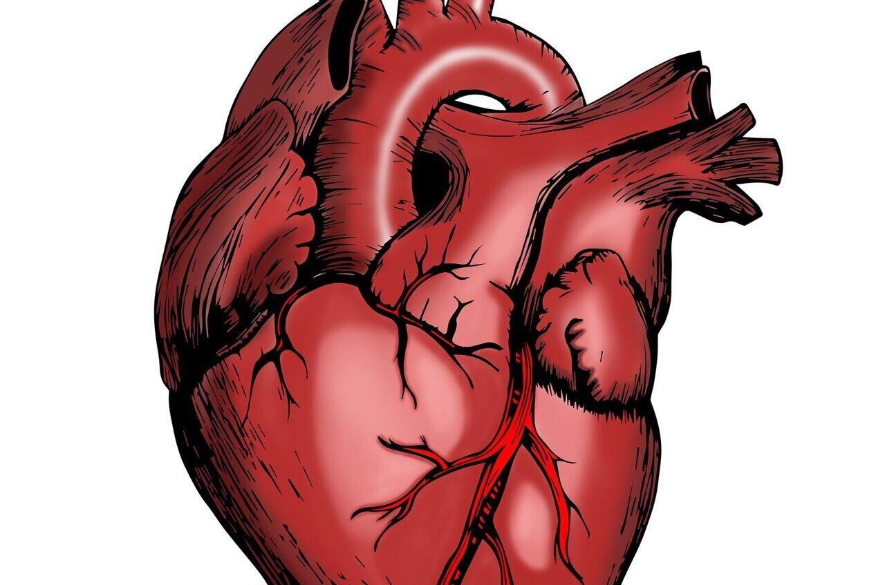 New MRI Technique Shows Promise in Predicting Heart Failure 