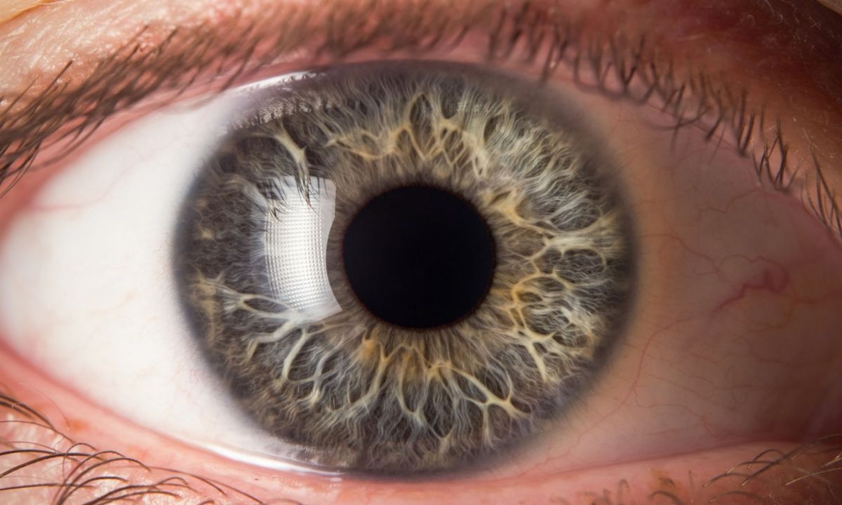 WorldCoin's Iris-Scanning Technology Faces Global Scrutiny