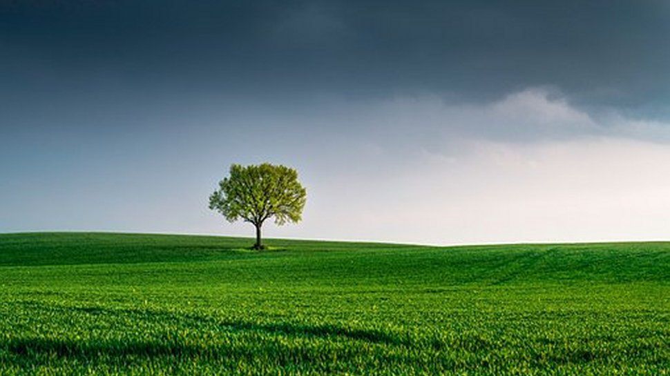 The Environmental Impact of AI: Challenges and Solutions