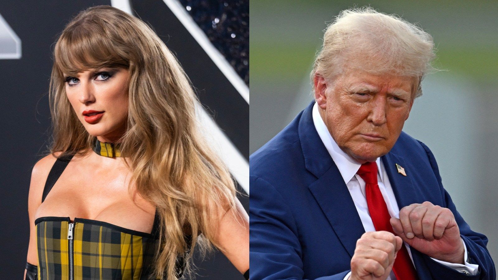 Trump Campaign Launches Taylor Swift-Inspired Merchandise,