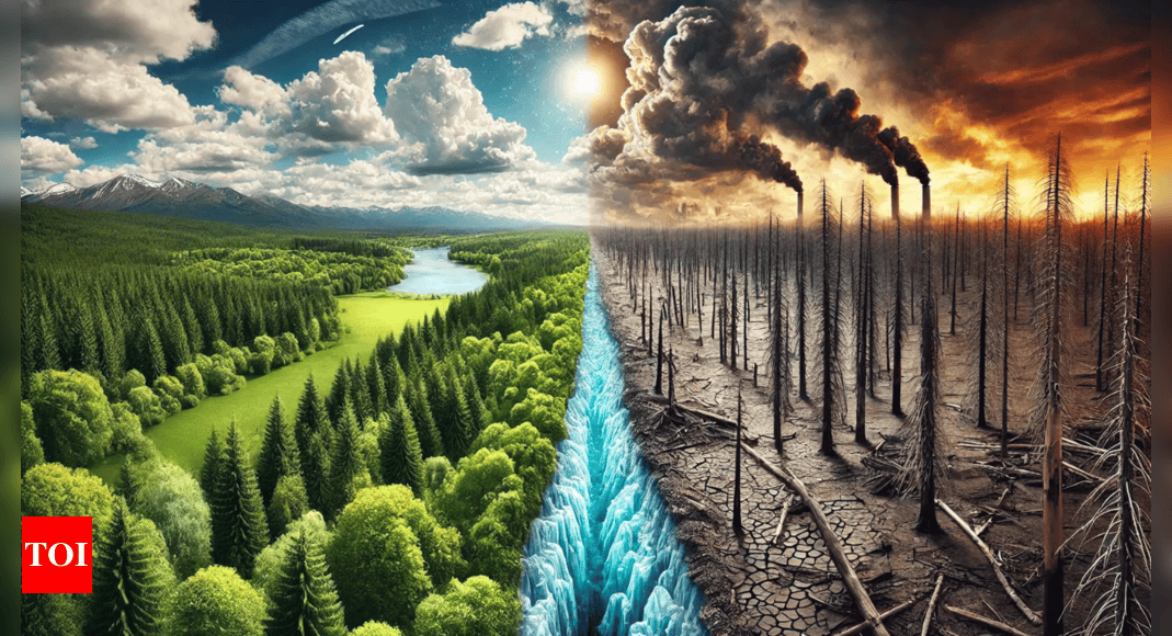 AI's Role in Accelerating the Climate Crisis: Expert Warns