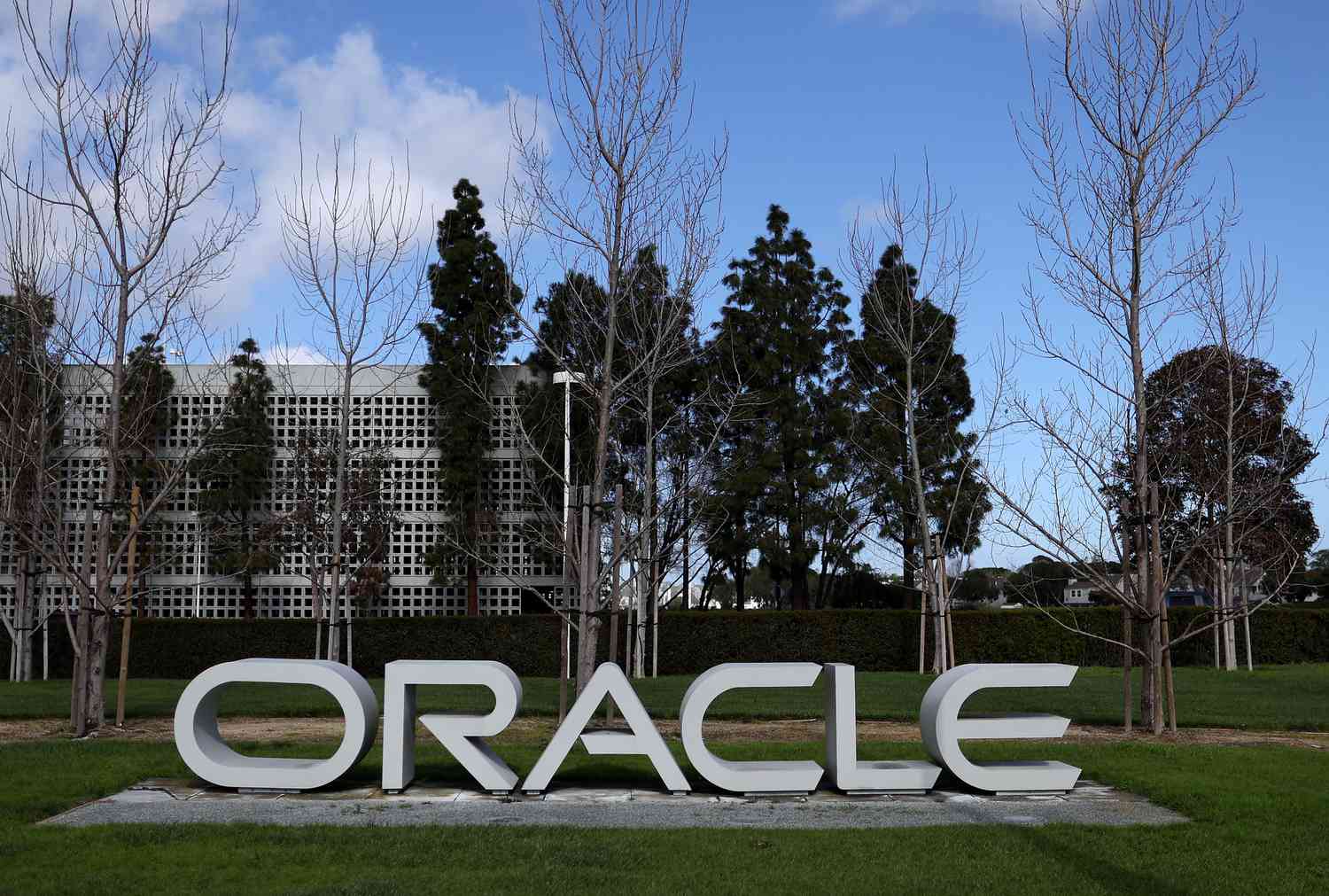 Oracle Shares Surge on Potential AI Partnership with OpenAI