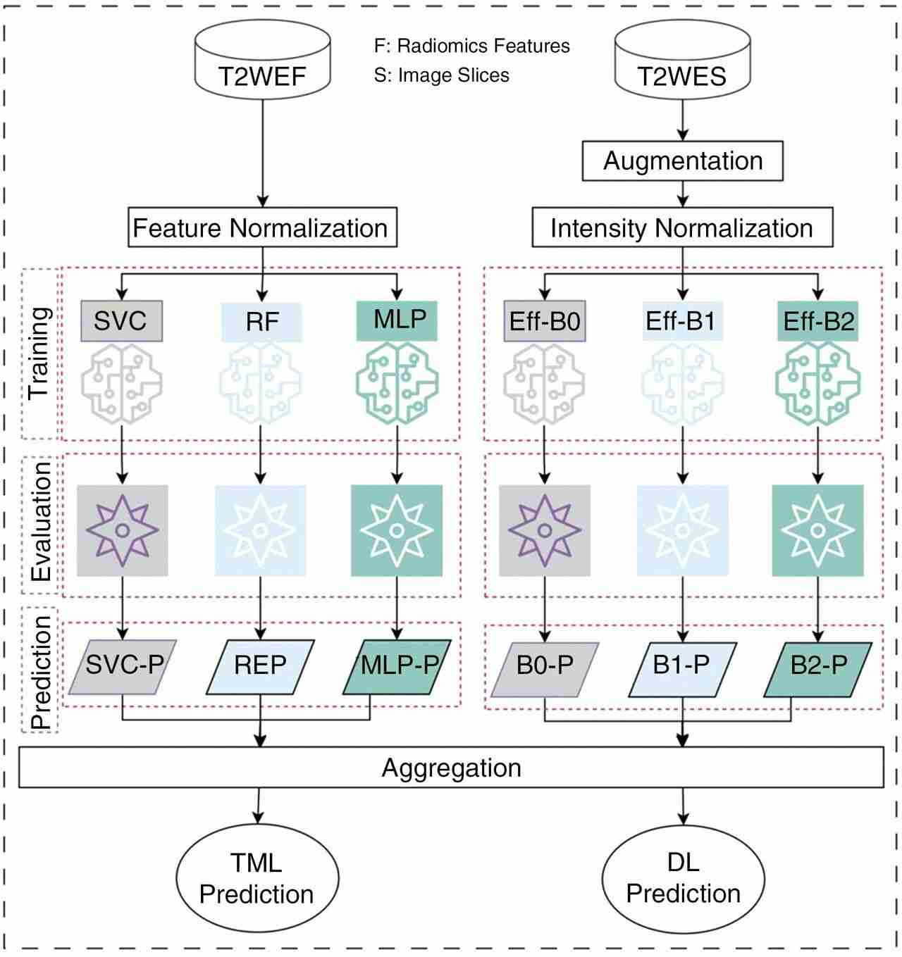 AI Model Detects Brain Cancer Spread Without Surgery,