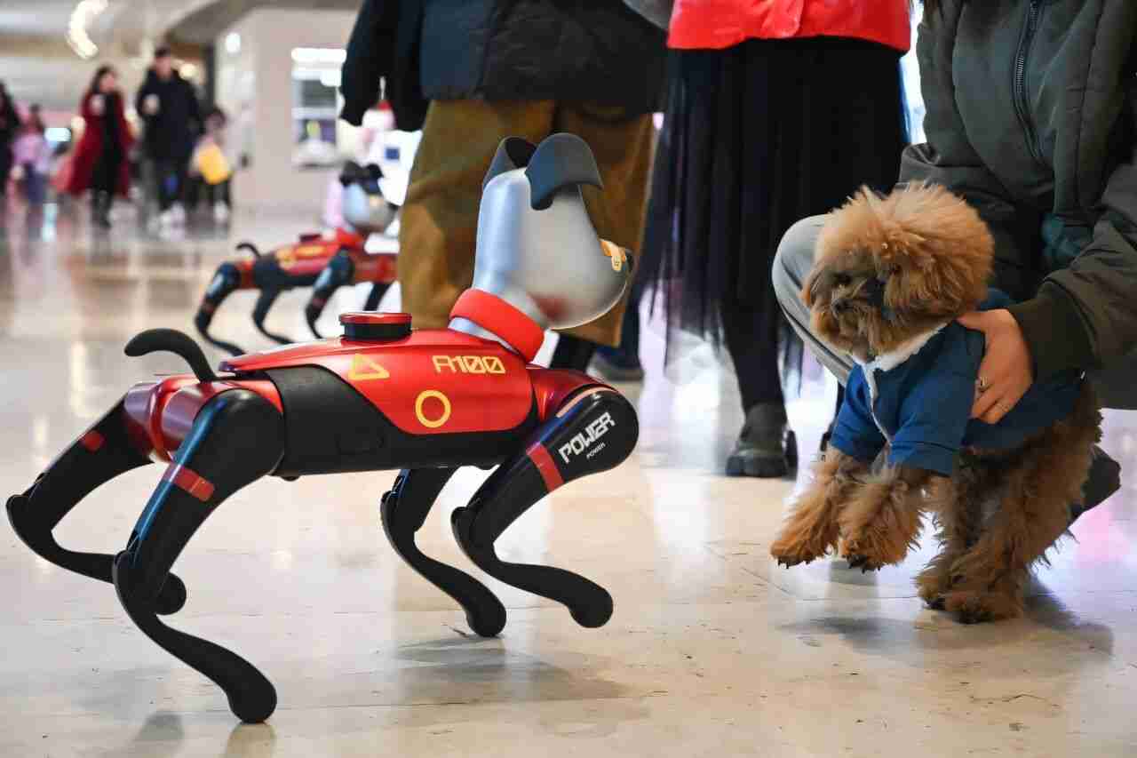 AI Pets Gain Popularity in China as Emotional Support