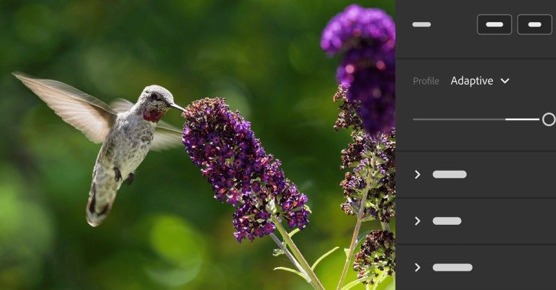 Adobe Unveils AI-Powered Features in Lightroom,