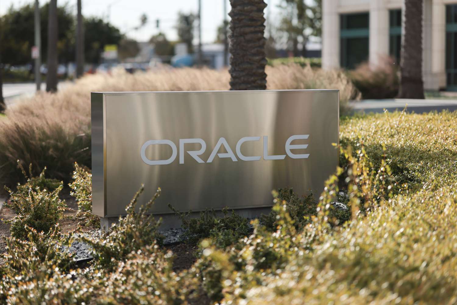 Oracle's Q3 Earnings: AI Drives Growth Despite Missing Wall 