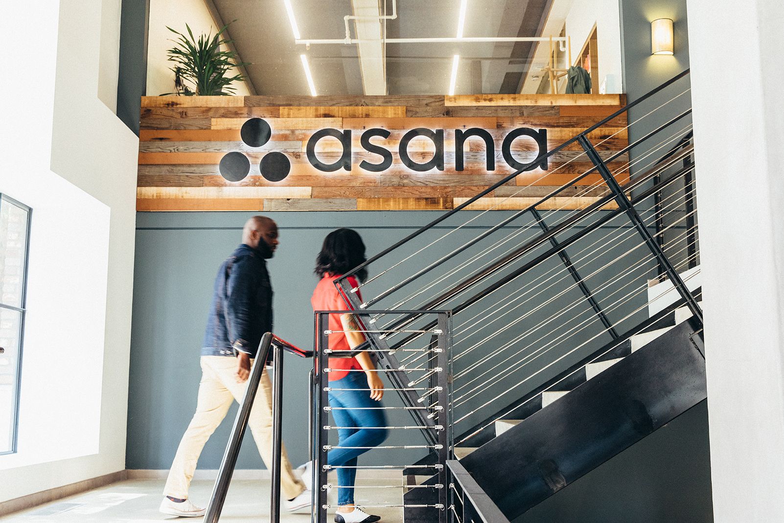 Asana Shares Plummet Amid Weak Outlook and CEO Dustin