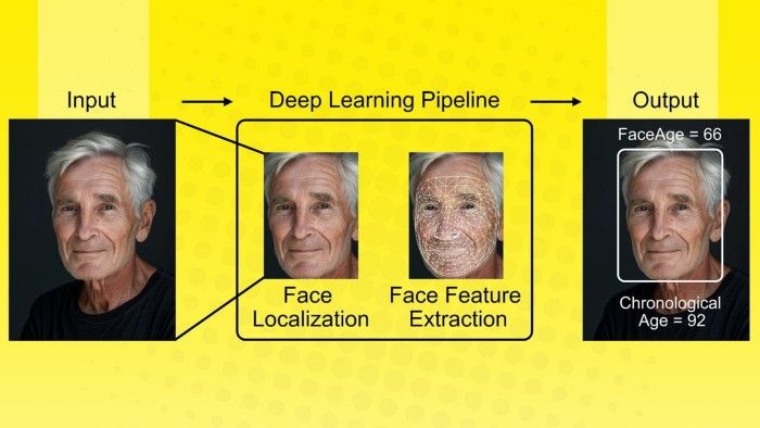 AI Tool 'FaceAge' Predicts Biological Age and Cancer Outcomes from Facial Photos