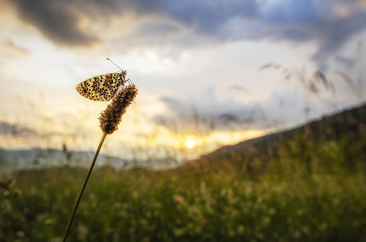 Microsoft's Aurora AI: Revolutionizing Weather Forecasting