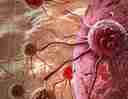 AI Collaborates with Scientists to Discover Promising Cancer Drug Combinations
