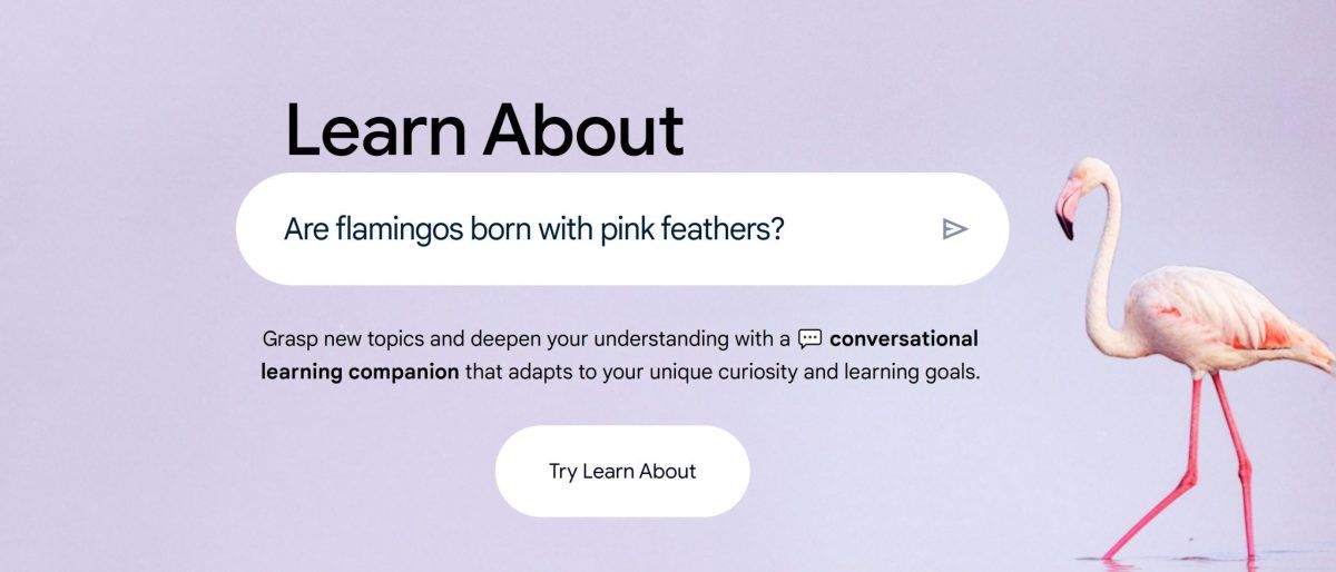 Google Unveils 'Learn About': An AI-Powered Educational