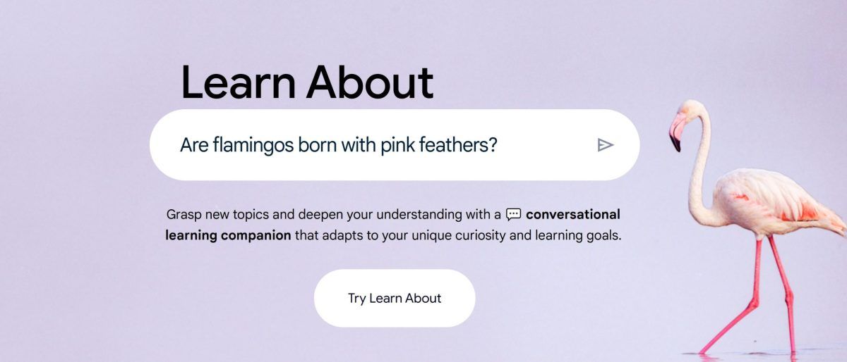 Google Unveils 'Learn About': An AI-Powered Educational