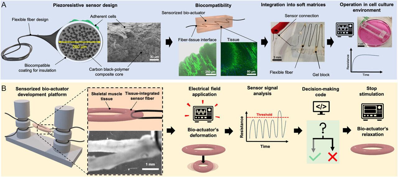Soft Ceramic Sensors: Revolutionizing Robotics and