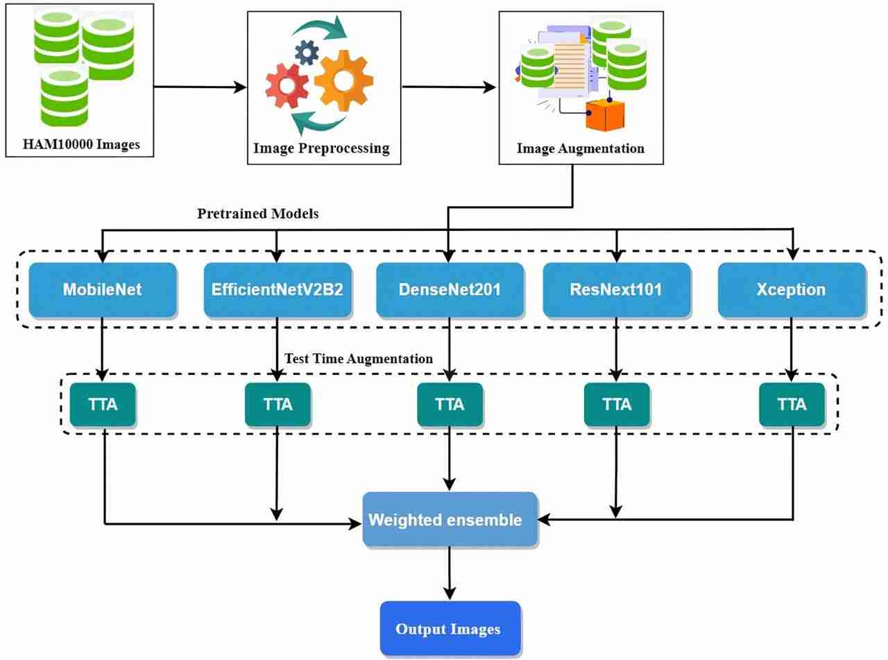 AI Model Achieves 94.49% Accuracy in Skin Cancer Detection, 