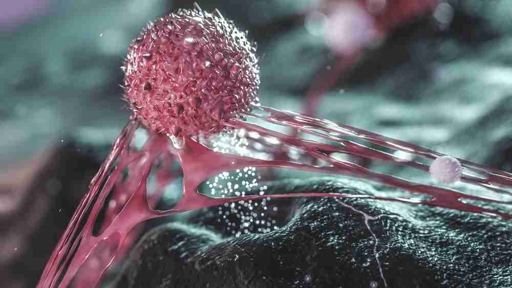 AI tool enhances cancer diagnosis by transforming standard