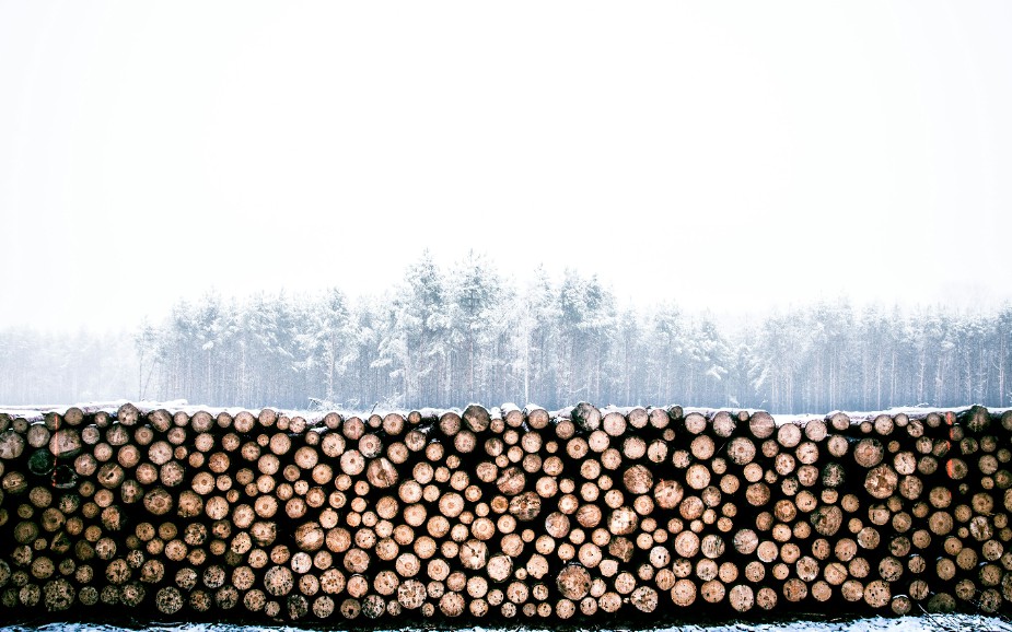 8 Ways AI Can Maximize the Value of Logs - DZone