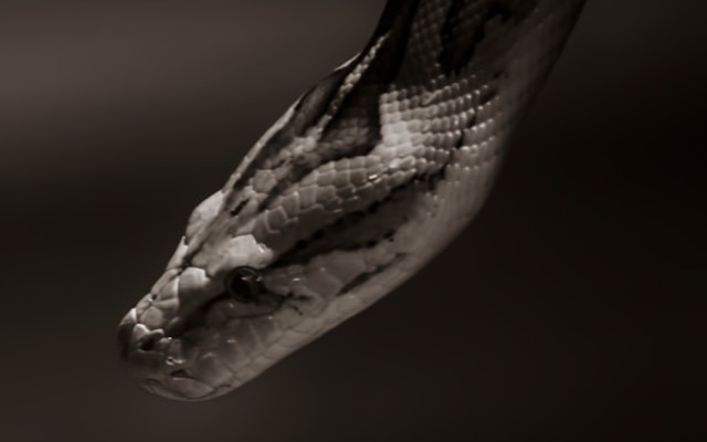 From Data to Decisions: Visualizing SAP Insights With Python