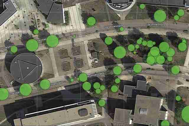 Grality's AI tools turn urban forests into measurable assets