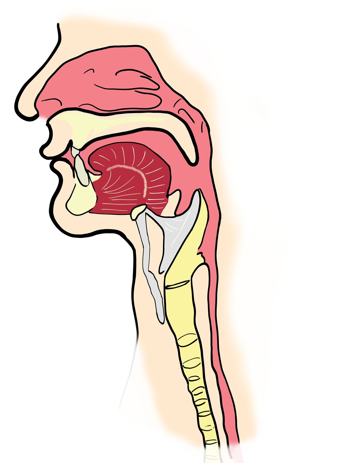 Researcher uses AI tool to diagnose throat cancers via the