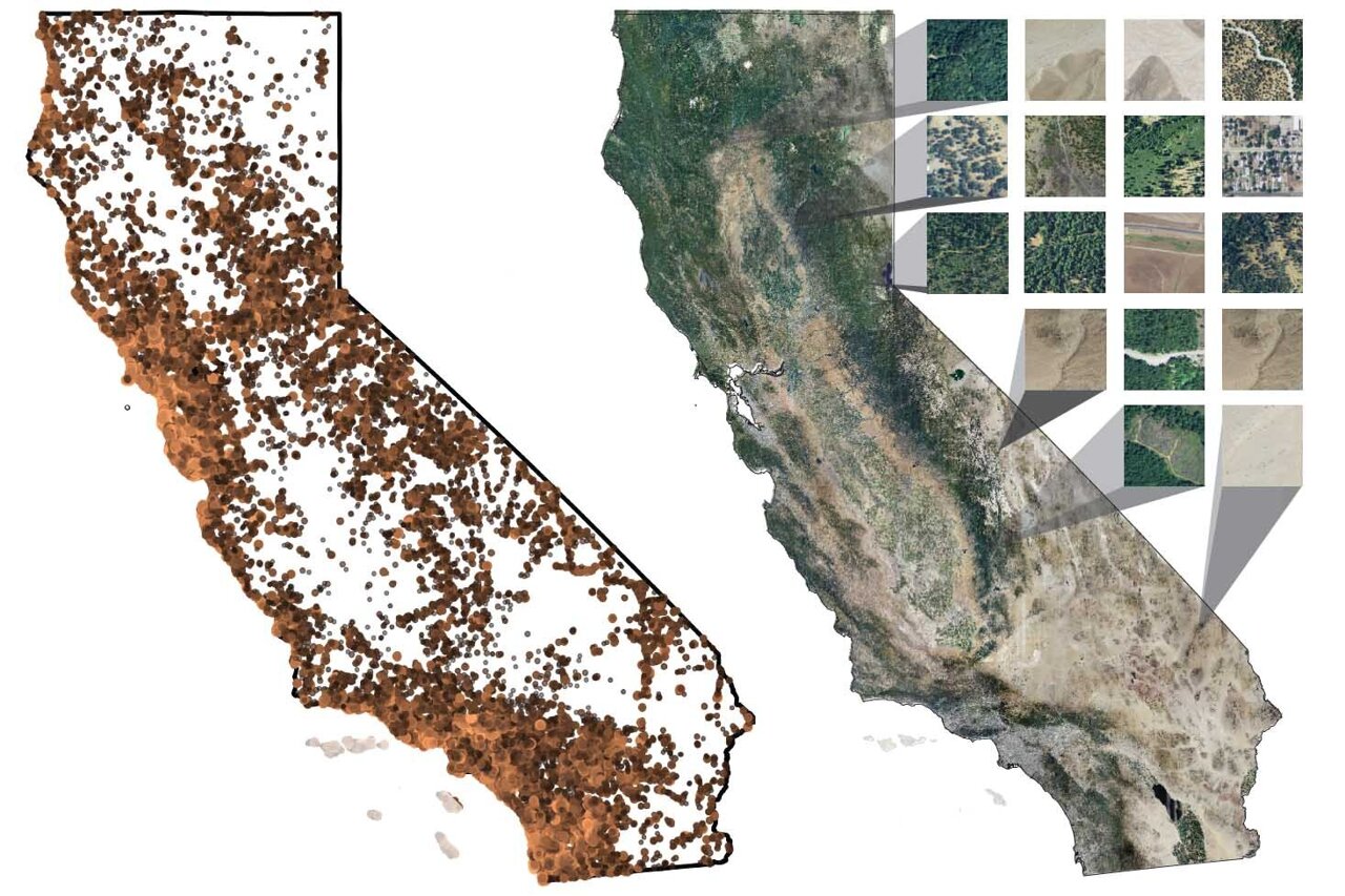 AI empowers iNaturalist to map California plants with