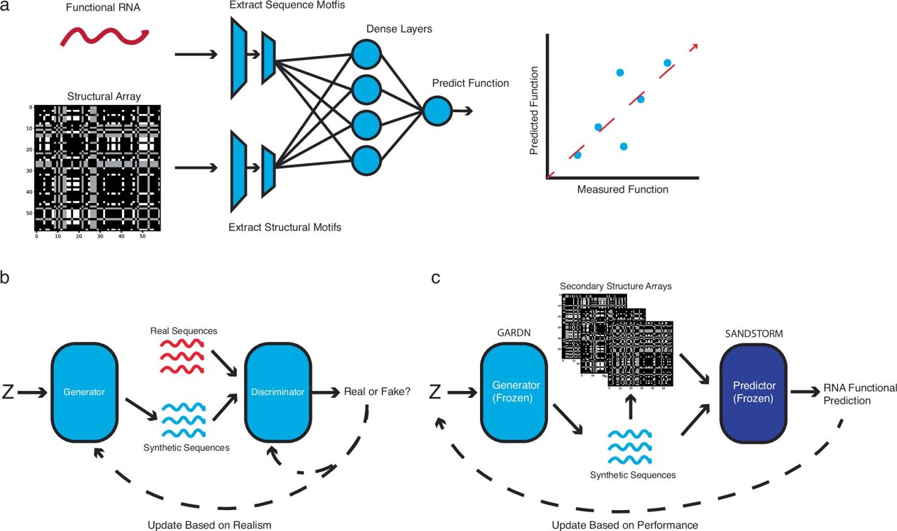 Q&A: A generative AI technique for designing RNA with