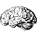 Namy AI logo