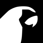 Ray Run logo