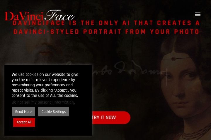 DaVinciFace Image