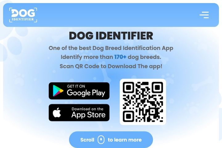 Dog Identifer Image