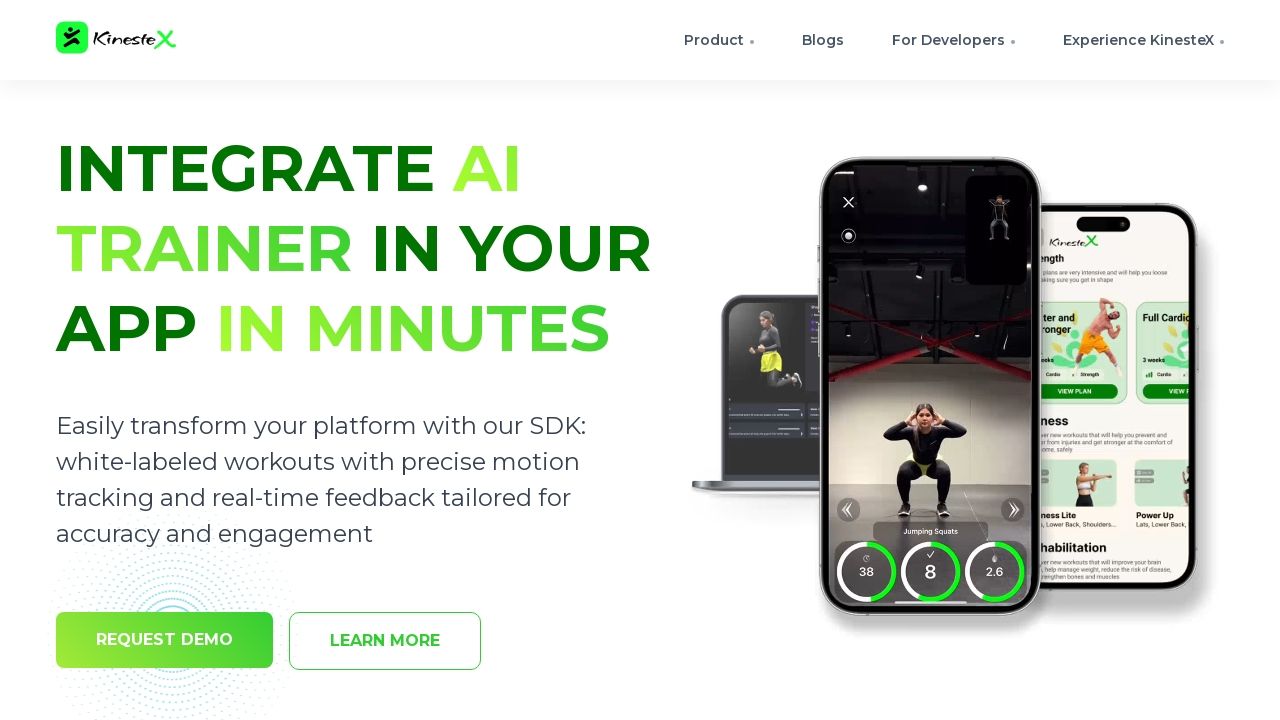 Kinestex Image