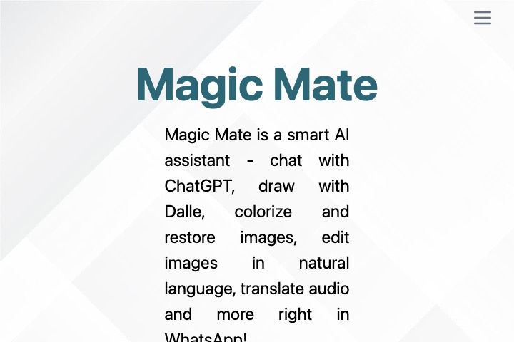 Magic Mate Image