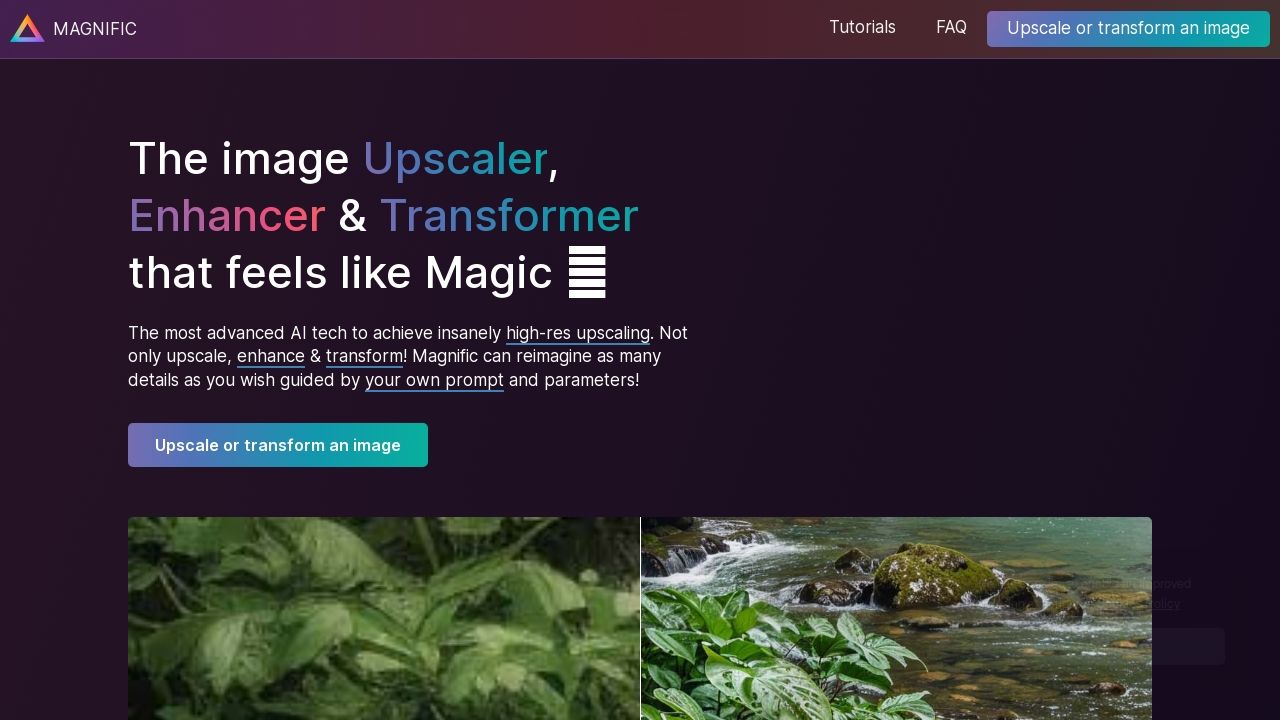 Magnific Image