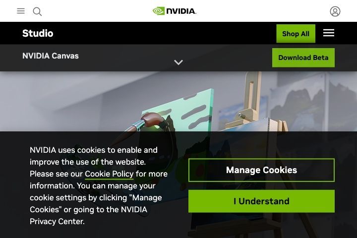 NVIDIA Canvas Image