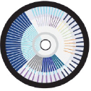 Oly AI logo