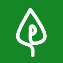 PoplarML logo