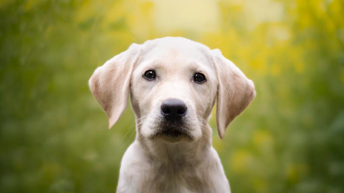 Newsletter subscribe Image