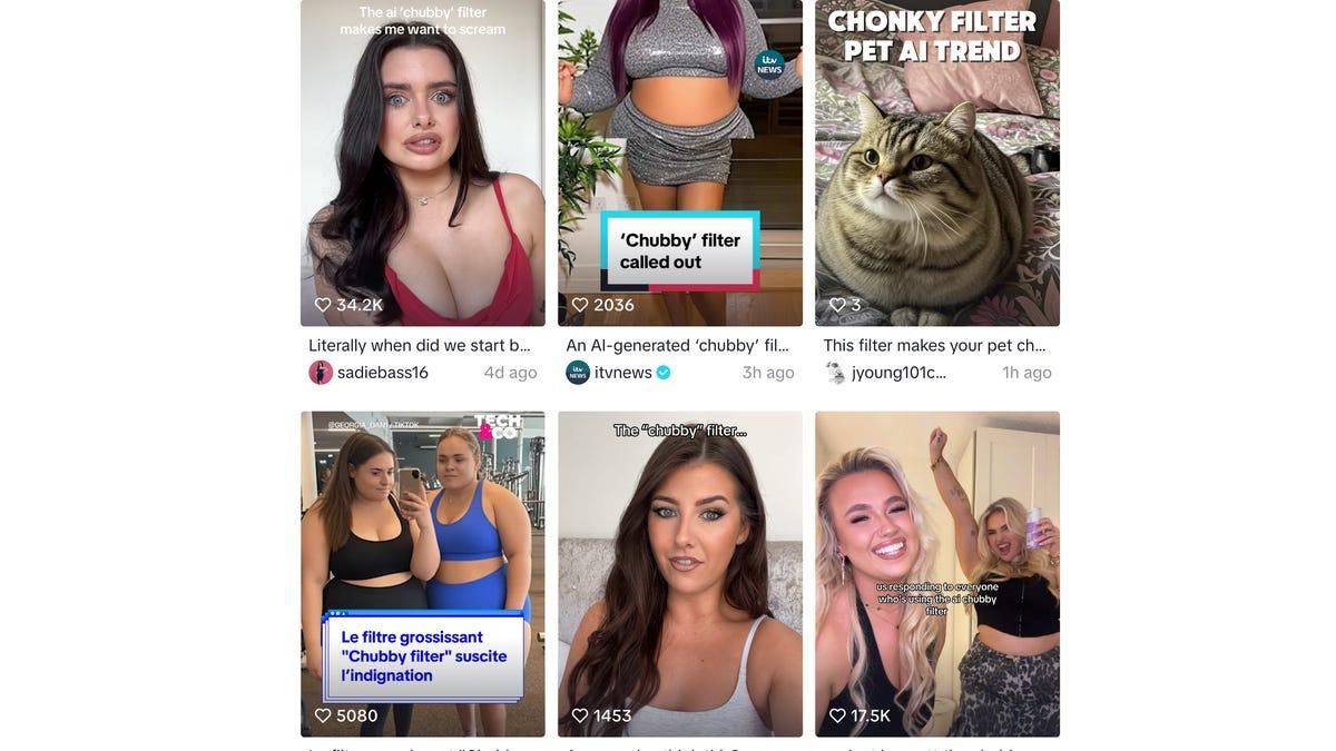 TikTok Removes Controversial AI 'Chubby Filter' Amid Body