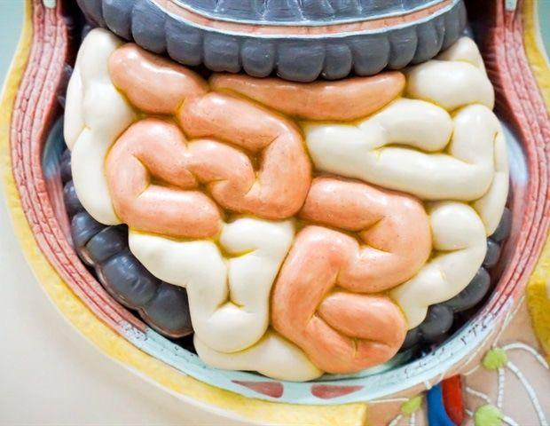 AI Algorithm Matches Pathologists in Diagnosing Celiac