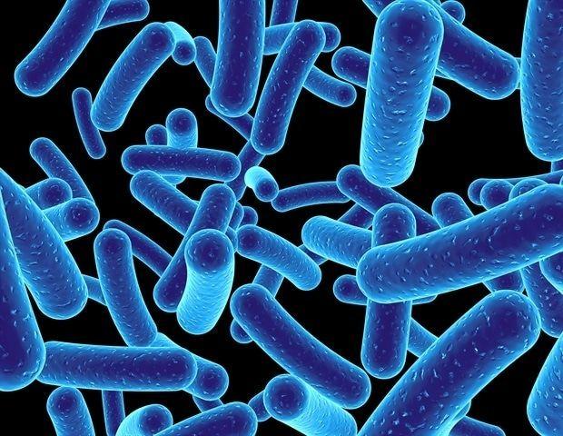 AI Model Predicts Antibiotic Resistance in Bacteria with