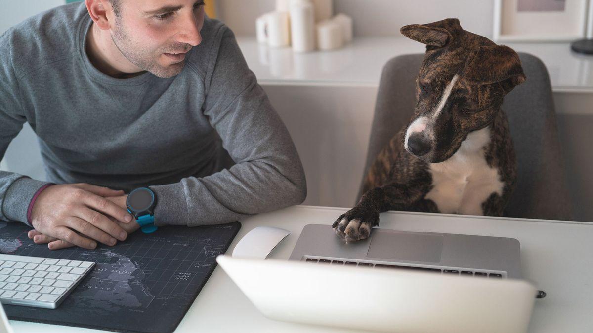 Baidu's AI Ambition: Decoding Animal Communication