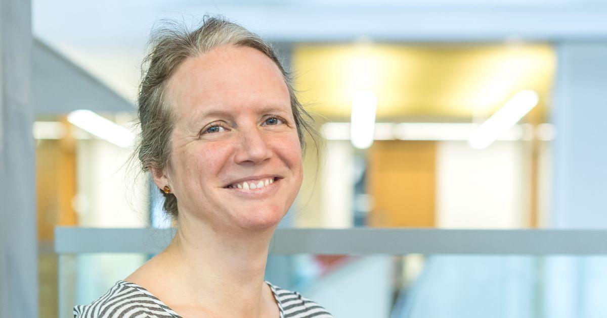 Aveni Launches FinLLM: A Specialized AI Model for UK