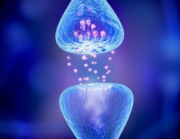 Self-Powered Artificial Synapse Mimics Human Color Vision