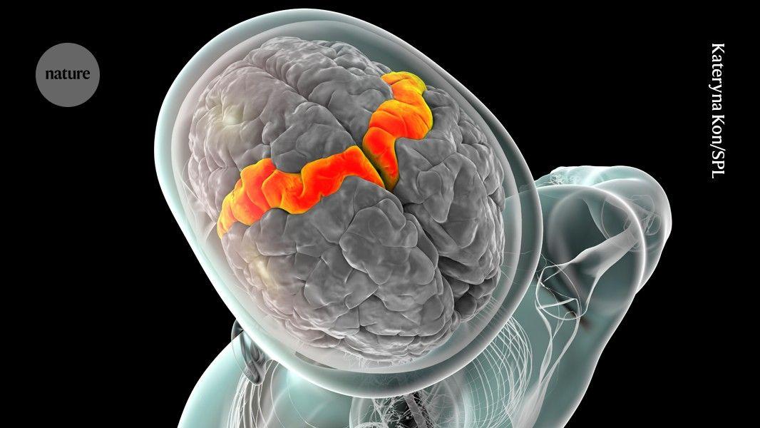 Breakthrough Brain-Computer Interface Restores Real-Time