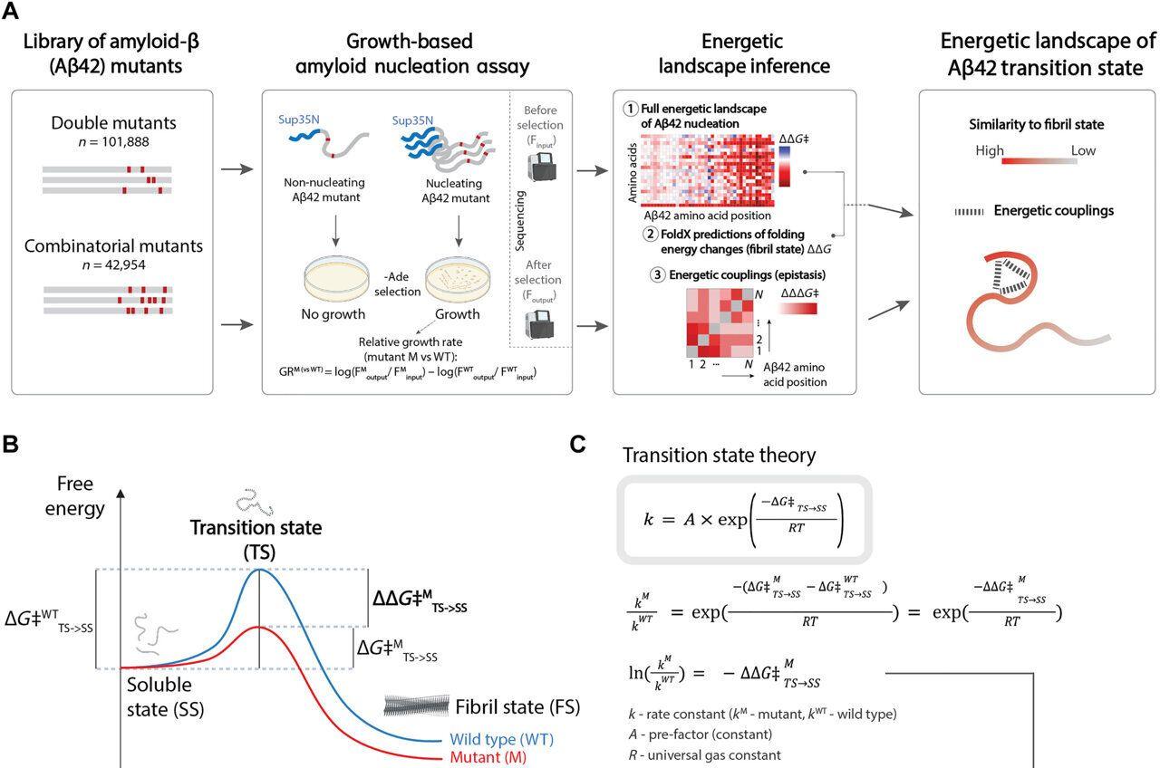 Source: Medical Xpress