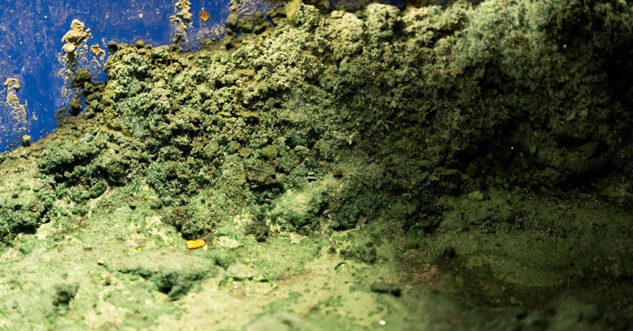 Oklahoma Emerges as Unexpected Hub for Critical Minerals