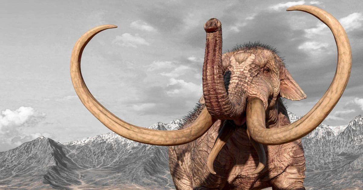 Mastodon Bans AI Training on User Data, Highlighting